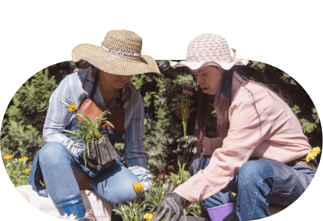 Gardening Services