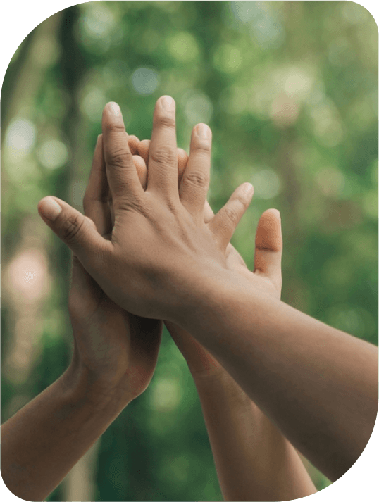 Hands supporting each other